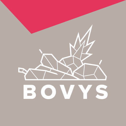 BOVYS